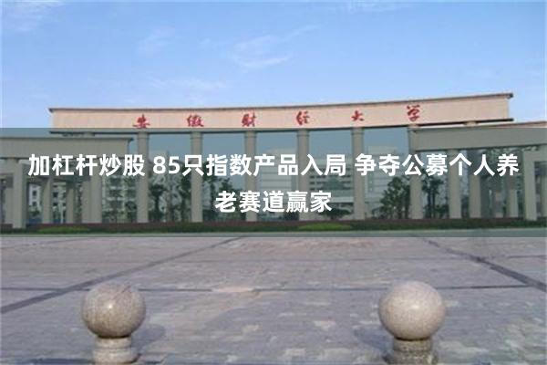 加杠杆炒股 85只指数产品入局 争夺公募个人养老赛道赢家