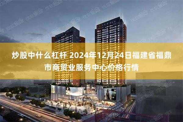 炒股中什么杠杆 2024年12月24日福建省福鼎市商贸业服务中心价格行情