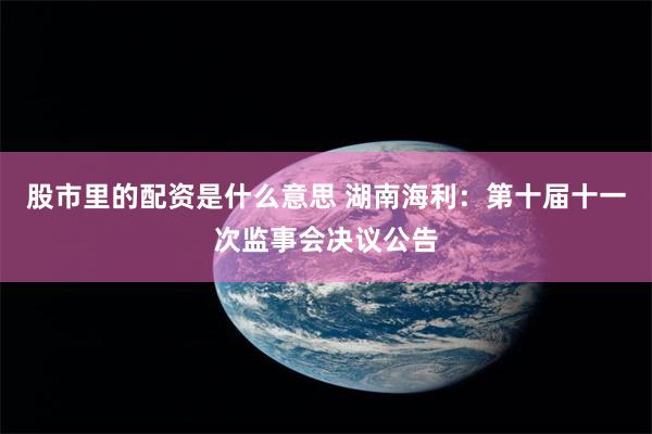 股市里的配资是什么意思 湖南海利：第十届十一次监事会决议公告