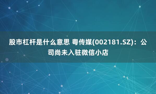 股市杠杆是什么意思 粤传媒(002181.SZ)：公司尚未入驻微信小店