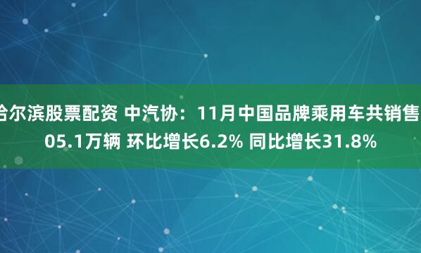 哈尔滨股票配资 中汽协：11月中国品牌乘用车共销售205.1万辆 环比增长6.2% 同比增长31.8%