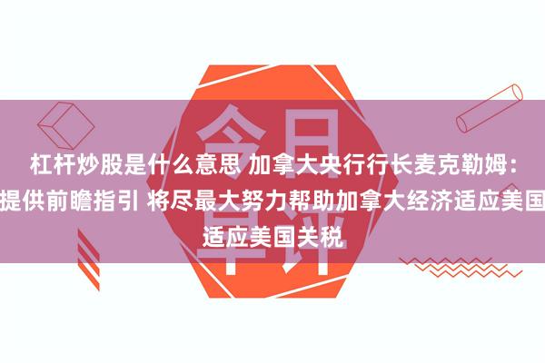 杠杆炒股是什么意思 加拿大央行行长麦克勒姆：无法提供前瞻指引 将尽最大努力帮助加拿大经济适应美国关税