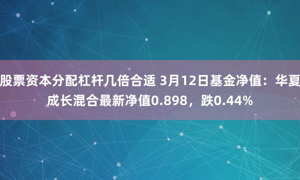 股票资本分配杠杆几倍合适 3月12日基金净值：华夏成长混合最新净值0.898，跌0.44%