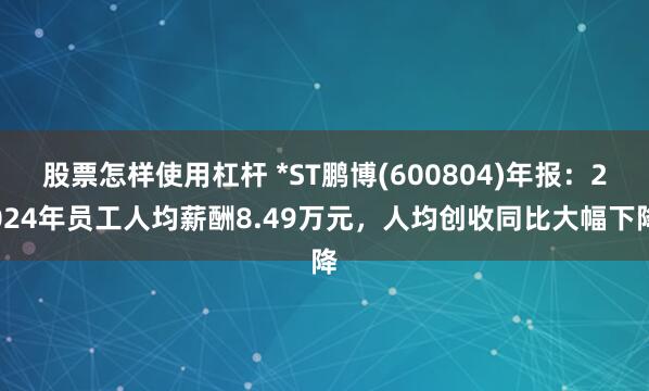 股票怎样使用杠杆 *ST鹏博(600804)年报：2024年员工人均薪酬8.49万元，人均创收同比大幅下降