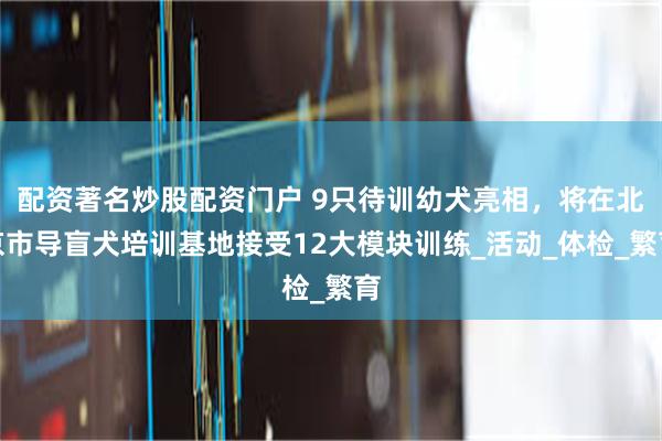 配资著名炒股配资门户 9只待训幼犬亮相,将在北京市导盲犬培训基地接受12大模块训练_活动_体检_繁育