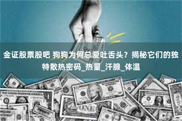 金证股票股吧 狗狗为何总爱吐舌头?揭秘它们的独特散热密码_热量_汗腺_体温
