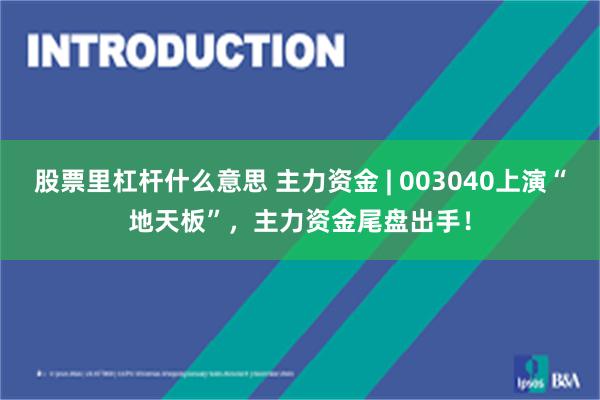 股票里杠杆什么意思 主力资金 | 003040上演“地天板”,主力资金尾盘出手!