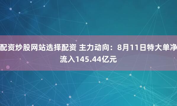 配资炒股网站选择配资 主力动向:8月11日特大单净流入145.44亿元